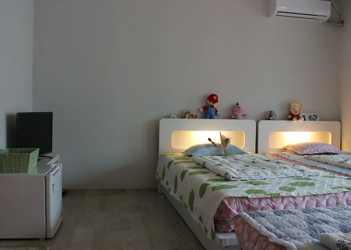 Affittacamere Dasan House 2*
